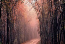 打牌吧下载可靠吗?怎么下载?