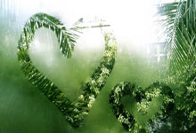 欧冠ds足球是什么?它能为球迷带来哪些独特体验?